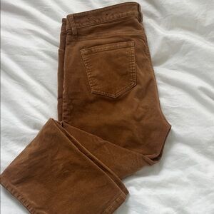 Jones New York Women's Straight Leg Pants in rich caramel corduroy